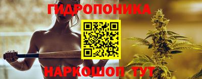 бошки Заводоуковск