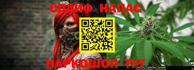 бошки Заводоуковск