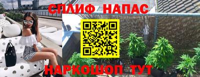 прущие грибы Заволжье