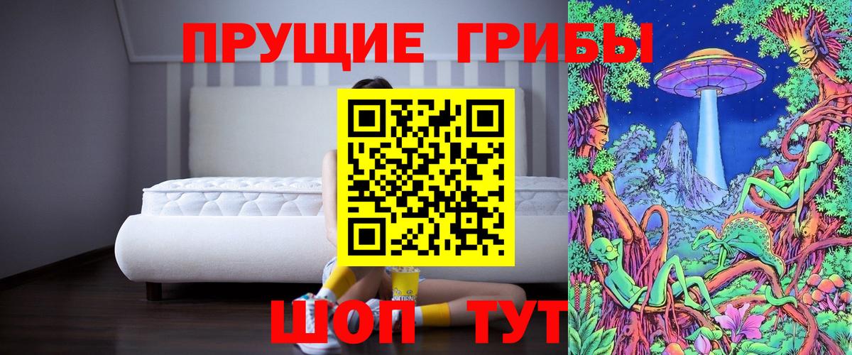 Псилоцибиновые грибы Psilocybe Выкса