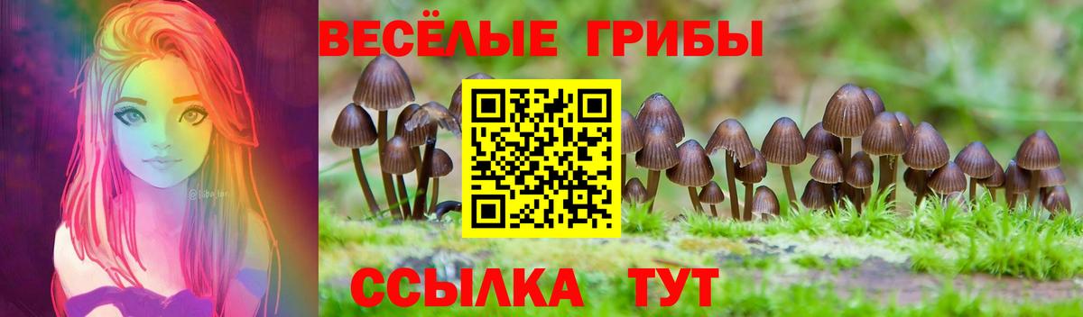 Выкса  Галлюциногенные грибы Psilocybe  Вход с VPN 