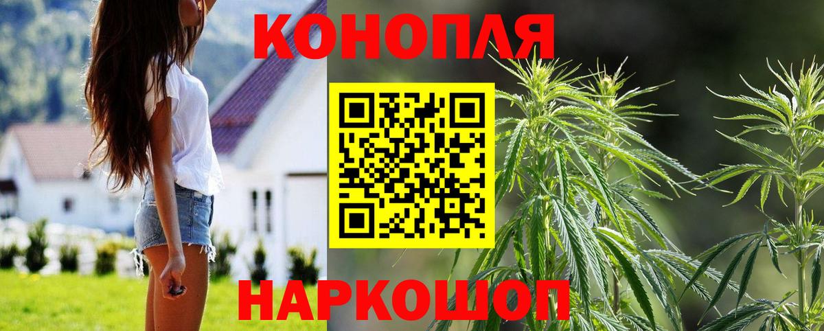 Бошки Шишки ГИДРОПОН Выкса